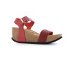 CAMELIS E22 35 41 CAMELIS E22 35 41